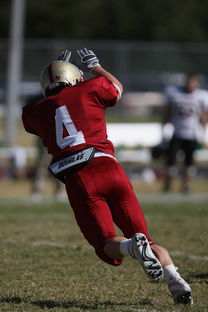 爱游戏在线登录入口-全国青少年跳水锦标赛在深圳火热进行，全国青少年跳水比赛